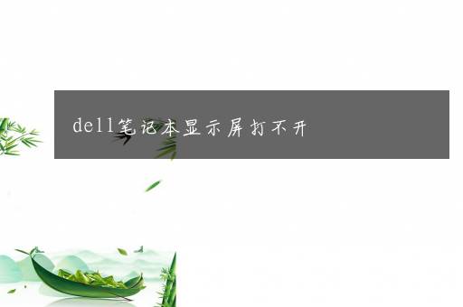 dell笔记本显示屏打不开