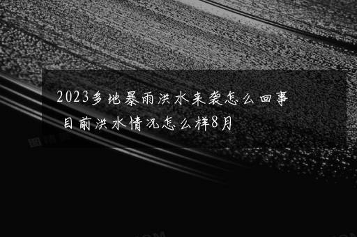 2023多地暴雨洪水来袭怎么回事 目前洪水情况怎么样8月