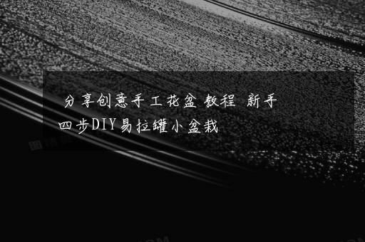 分享创意手工花盆 教程  新手四步DIY易拉罐小盆栽