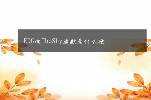 EDG向TheShy道歉是什么梗