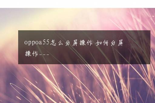 oppoa55怎么分屏操作 如何分屏操作