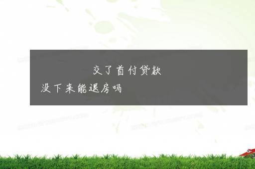 交了首付贷款没下来能退房吗