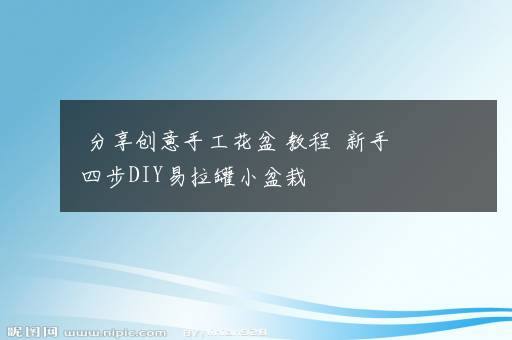 分享创意手工花盆 教程  新手四步DIY易拉罐小盆栽