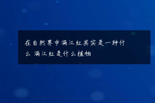 在自然界中满江红其实是一种什么 满江红是什么植物