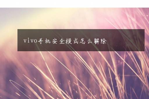 vivo手机安全模式怎么解除