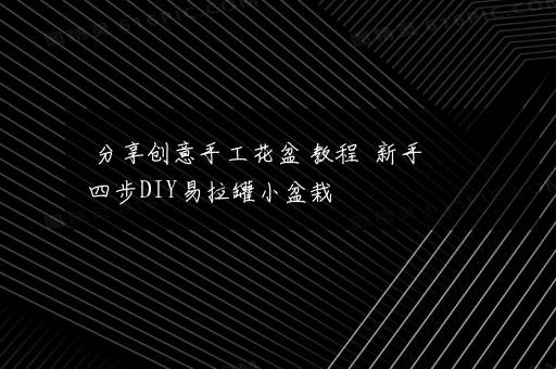 分享创意手工花盆 教程  新手四步DIY易拉罐小盆栽