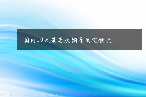 国内10大最喜欢饲养的宠物犬