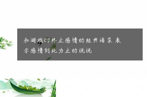 和游戏cp终止感情的经典语录 表示感情到此为止的说说