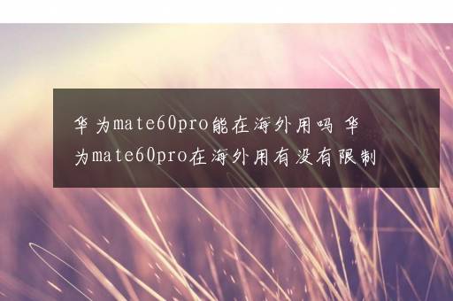 华为mate60pro能在海外用吗 华为mate60pro在海外用有没有限制