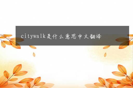 citywalk是什么意思中文翻译