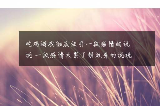 吃鸡游戏彻底放弃一段感情的说说 一段感情太累了想放弃的说说