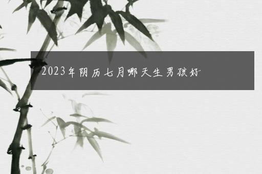 2023年阴历七月哪天生男孩好