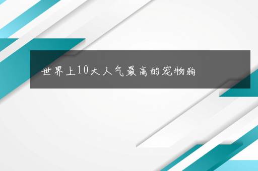 世界上10大人气最高的宠物狗