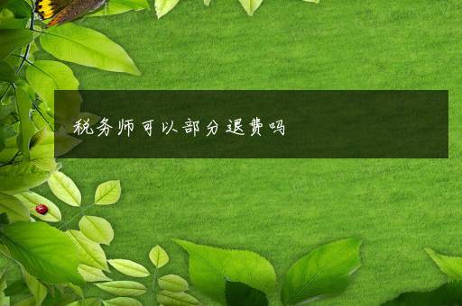 税务师可以部分退费吗