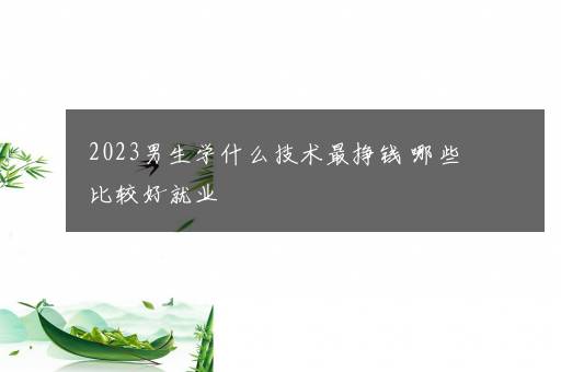 2023男生学什么技术最挣钱 哪些比较好就业