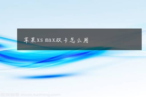 苹果xs max双卡怎么用