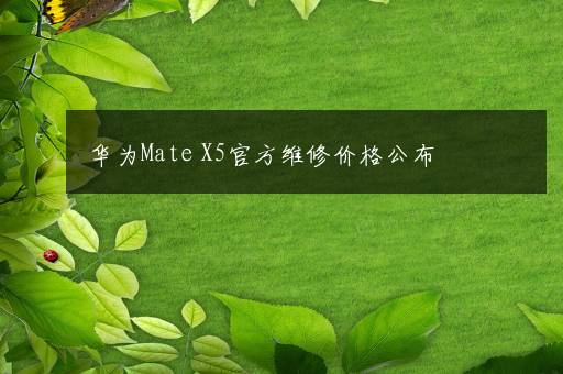 华为Mate X5官方维修价格公布