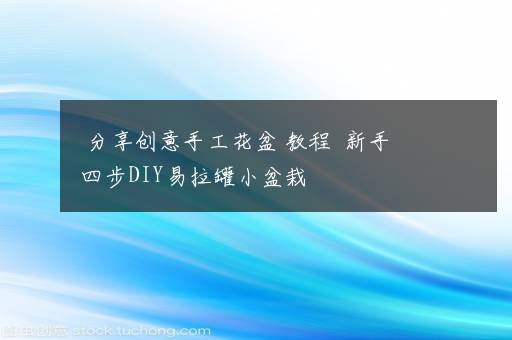 分享创意手工花盆 教程  新手四步DIY易拉罐小盆栽