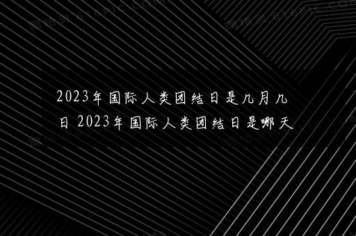 2023年国际人类团结日是几月几日 2023年国际人类团结日是哪天