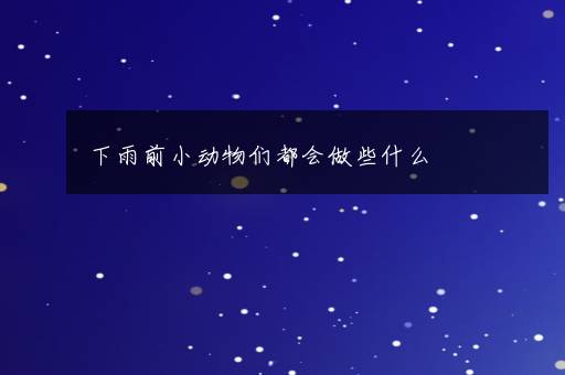 下雨前小动物们都会做些什么