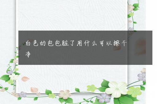 白色的包包脏了用什么可以擦干净