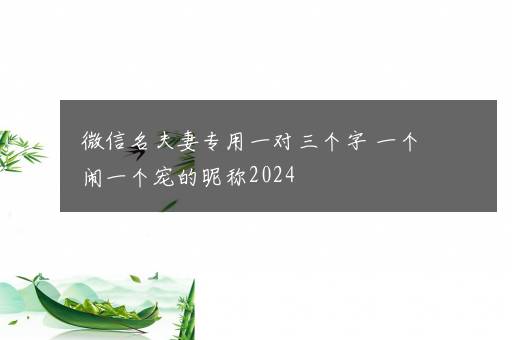 微信名夫妻专用一对三个字 一个闹一个宠的昵称2024