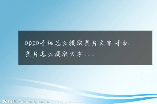 oppo手机怎么提取图片文字 手机图片怎么提取文字