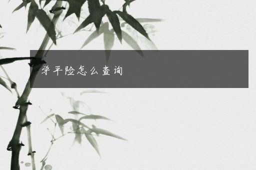 学平险怎么查询