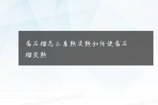 番石榴怎么看熟没熟如何使番石榴变熟