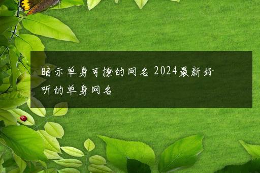 暗示单身可撩的网名 2024最新好听的单身网名