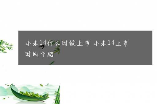 小米14什么时候上市 小米14上市时间介绍