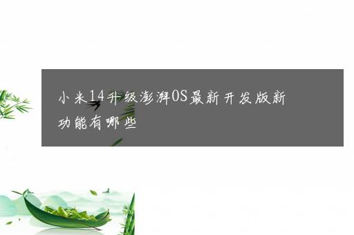 小米14升级澎湃OS最新开发版新功能有哪些