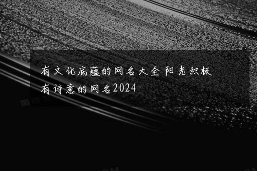 有文化底蕴的网名大全 阳光积极有诗意的网名2024