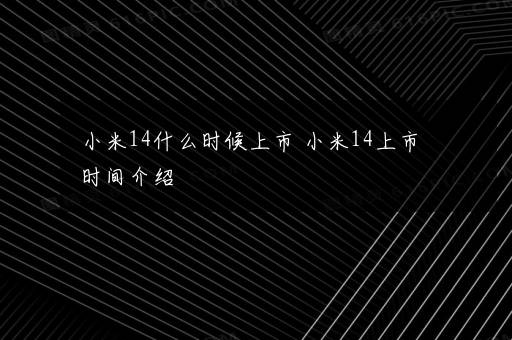 小米14什么时候上市 小米14上市时间介绍