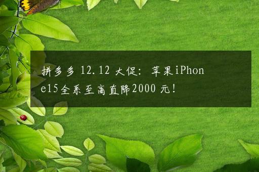 拼多多 12.12 大促：苹果iPhone15全系至高直降2000+元！