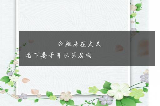 公租房在丈夫名下妻子可以买房吗