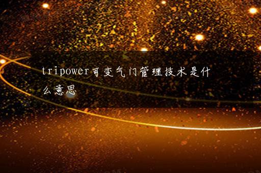 tripower可变气门管理技术是什么意思