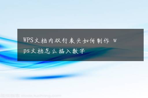 WPS文档内双行表头如何制作  wps文档怎么插入数字