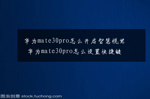 华为mate30pro怎么开启智慧视觉  华为mate30pro怎么设置快捷键