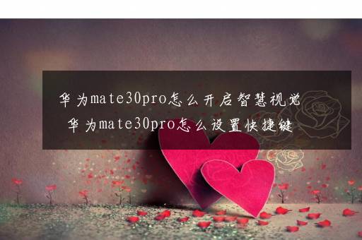 华为mate30pro怎么开启智慧视觉  华为mate30pro怎么设置快捷键