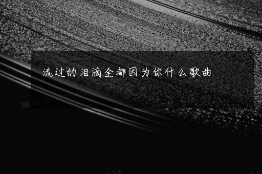 流过的泪滴全都因为你什么歌曲